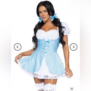 Gingham leg avenue costume